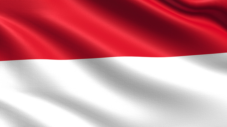 Indonesia Flag