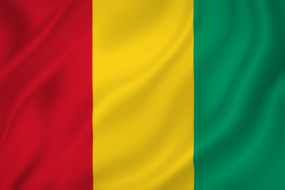 Guinea flag